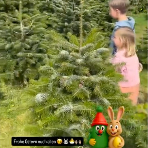 Kinder bei der Ostersuche zwischen den Weihnachtsbäumen