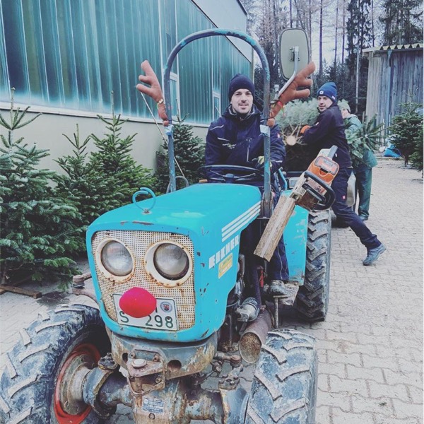 Traktor mit Rentiergeweih auf dem Fichtenhof